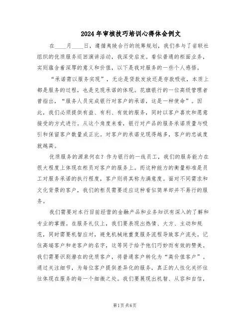 2024年审核技巧培训心得体会例文（三篇）
