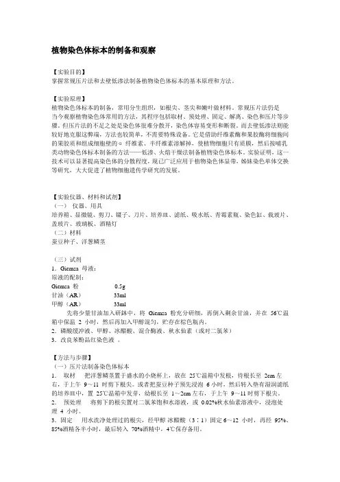 植物染色体标本的制备和观察