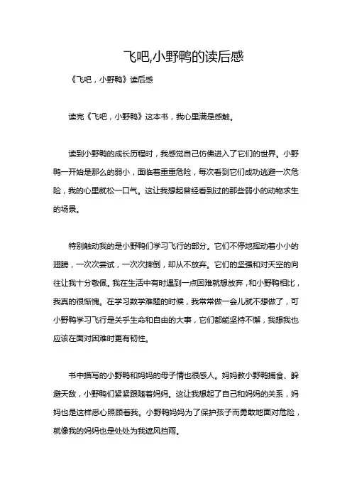 飞吧,小野鸭的读后感