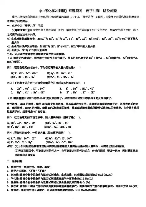 2024《中考化学冲刺》离子共存、除杂问题