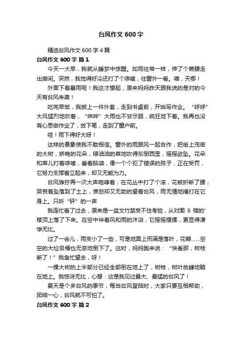 精选台风作文600字4篇