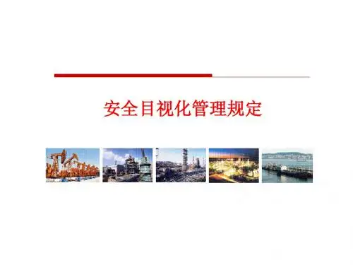 安全目视化管理PPT课件