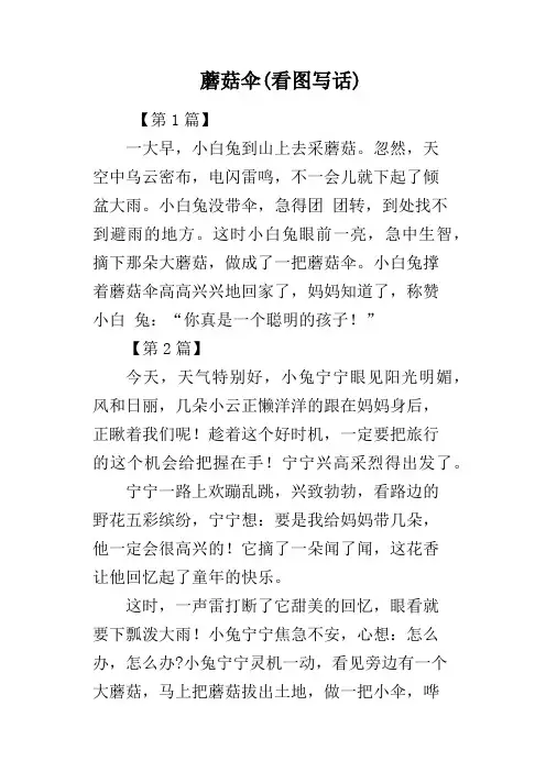 蘑菇伞看图写话
