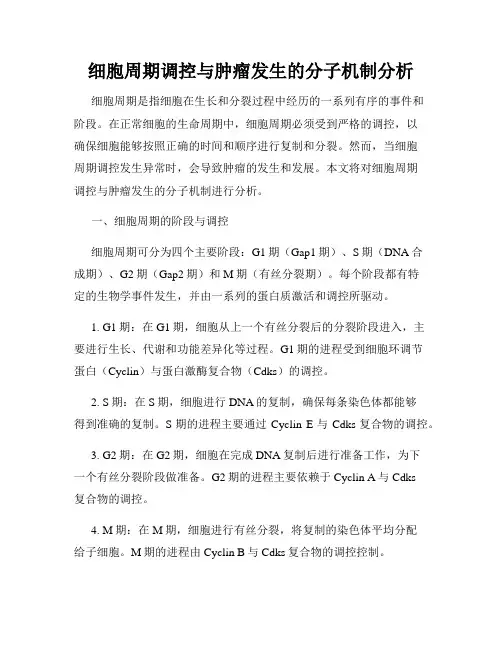 细胞周期调控与肿瘤发生的分子机制分析