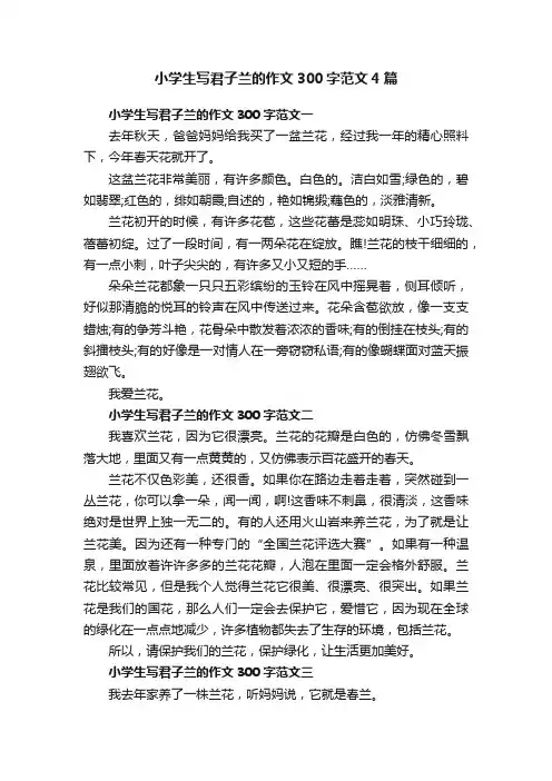 小学生写君子兰的作文300字范文4篇