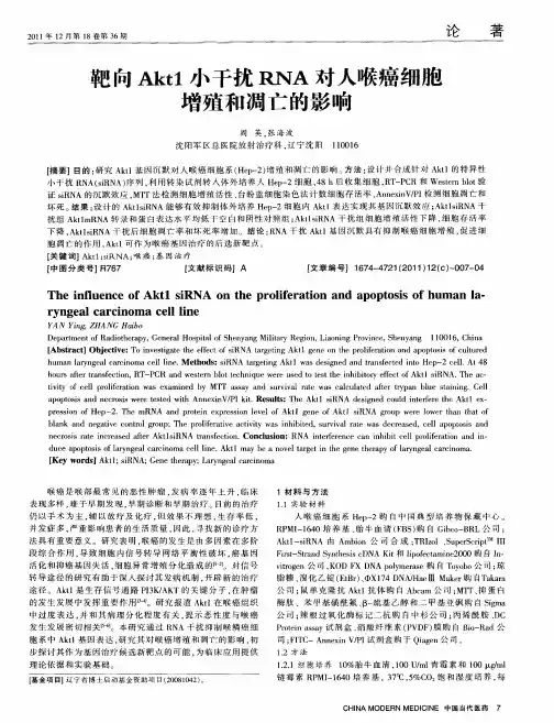 靶向Akt1小干扰RNA对人喉癌细胞增殖和凋亡的影响