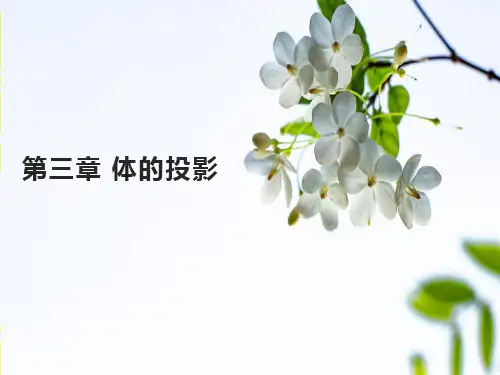 第三章体的投影课件(共30张PPT)《土木工程制图与识图》