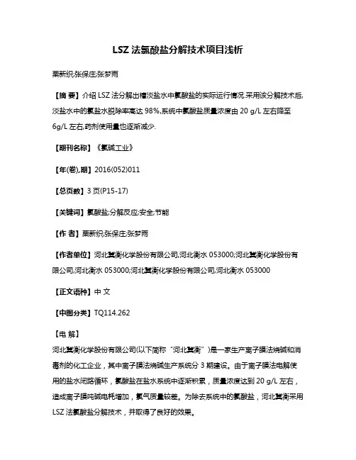 LSZ法氯酸盐分解技术项目浅析
