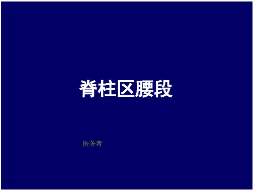 脊柱腰段断层解剖ppt课件