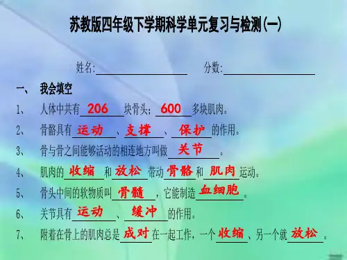 四年级科学下册第一单元检测题(骨骼与肌肉)(ppt)
