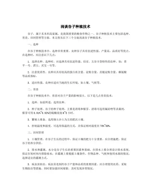 浅谈谷子种植技术