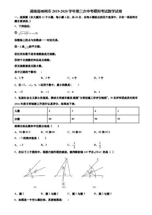 湖南省郴州市2019-2020学年第三次中考模拟考试数学试卷含解析
