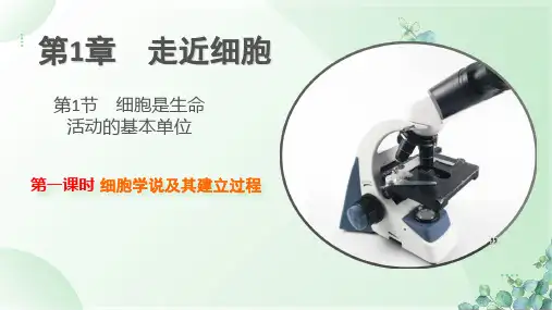 1.1.1细胞学说及其建立过程课件高一上学期生物人教版)必修1