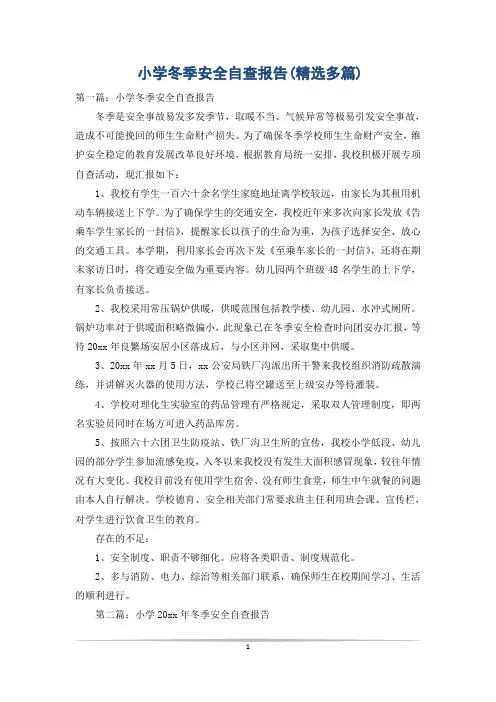 小学冬季安全自查报告(精选多篇)