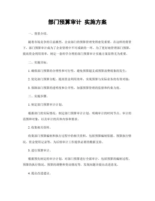 部门预算审计 实施方案