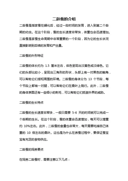 二龄蚕的介绍