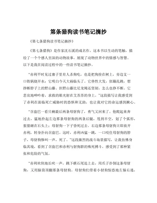 第条猎狗读书笔记摘抄