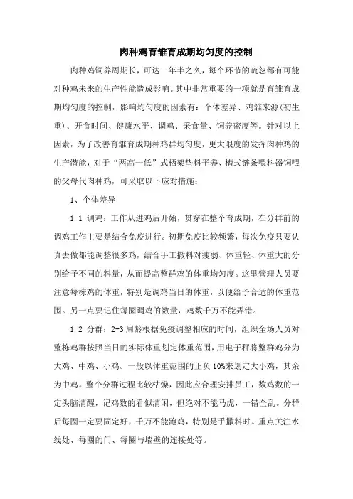 肉种鸡育雏育成期均匀度的控制