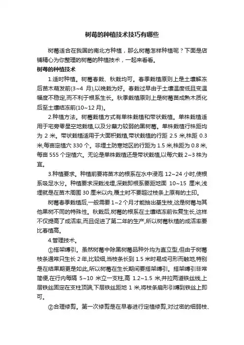 树莓的种植技术技巧有哪些