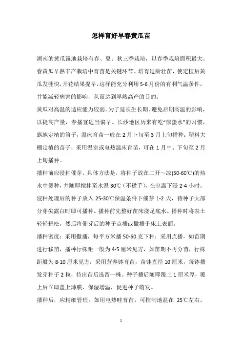 怎样育好早春黄瓜苗
