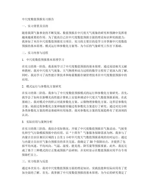 中尺度数值预报实习报告