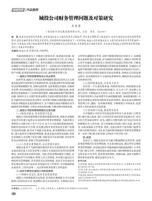 城投公司财务管理问题及对策研究