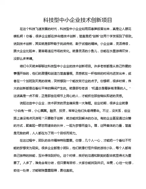 科技型中小企业技术创新项目
