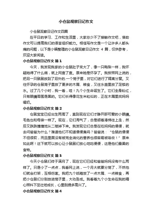 小仓鼠观察日记作文四篇