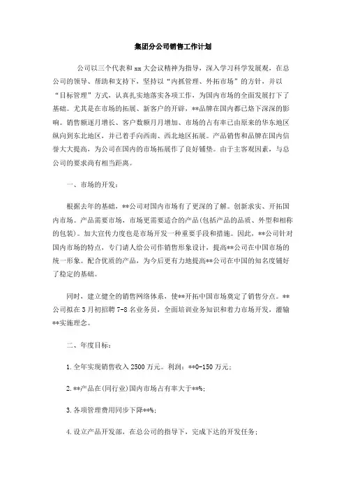 集团分公司销售工作计划