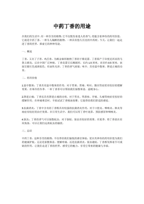中药丁香的用途 (2)