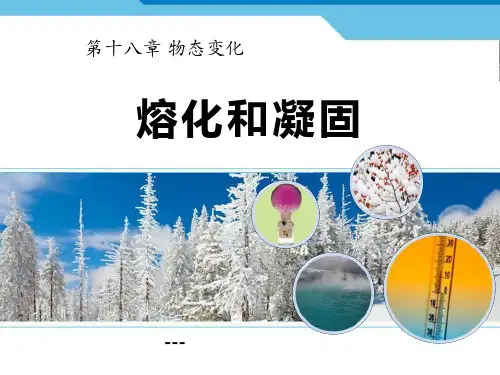 鲁教版物理九下18.2《熔化和凝固》ppt-课件3