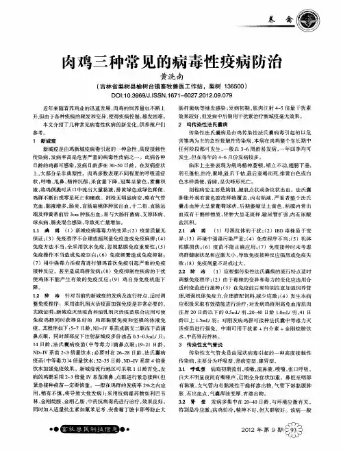 肉鸡三种常见的病毒性疫病防治