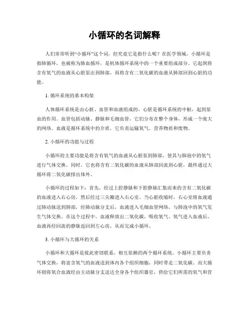 小循环的名词解释
