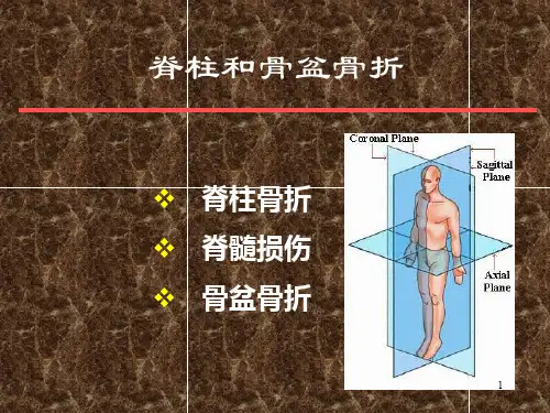 脊柱、骨盆骨折PPT课件