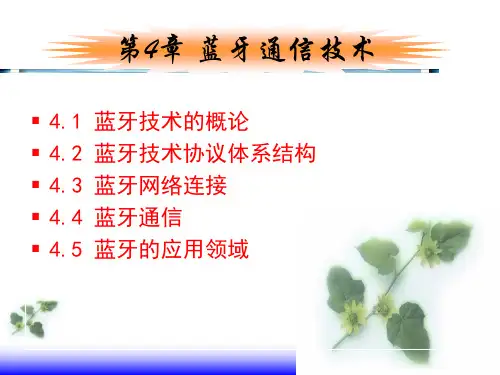 蓝牙通信技术PPT课件