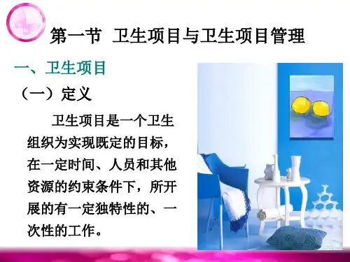 卫生项目管理PPT100页