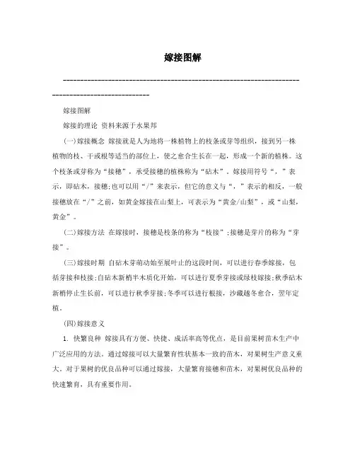 嫁接图解