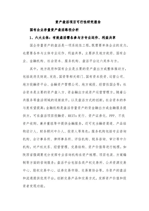 资产盘活项目可行性研究报告