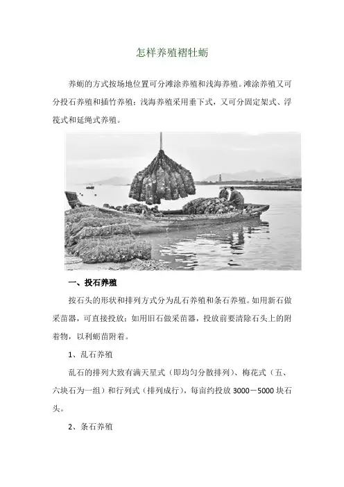 怎样养殖褶牡蛎