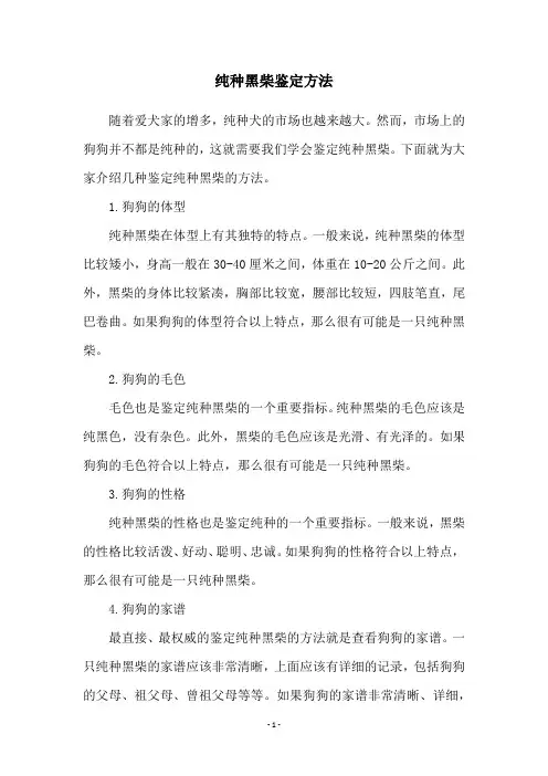 纯种黑柴鉴定方法