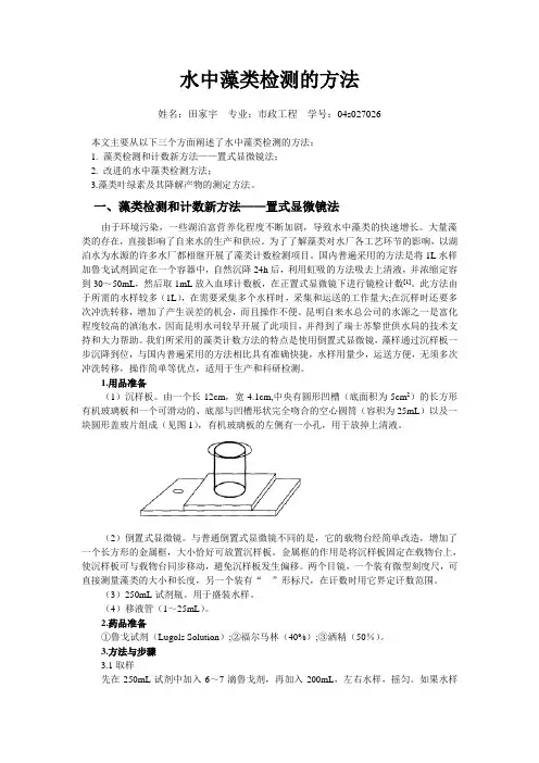 藻类检测方法