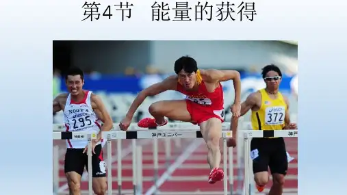 九年级科学上册第4章代谢与平衡4.4能量的获得课件 浙教版