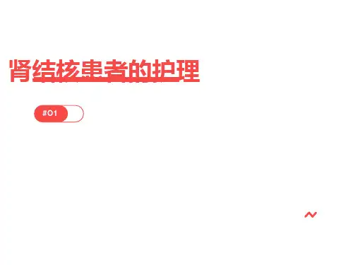 肾结核患者的护理ppt课件