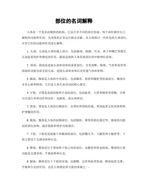 部位的名词解释