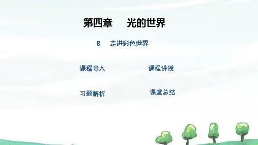 2024年秋季学期新教科版物理八年级上册课件 8 走进彩色世界