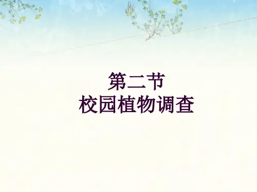 《第二节 校园植物调查》课件
