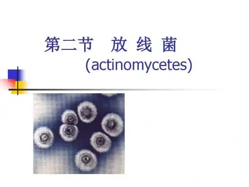 第二章放线菌-PPT精选文档