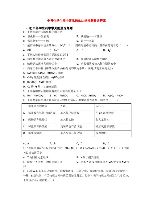 中考化学生活中常见的盐达标检测卷含答案