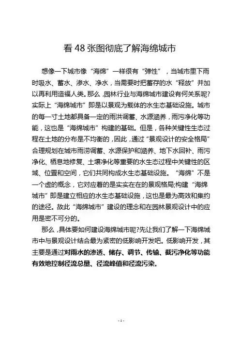 海绵城市基本知识图解可编辑文档下载