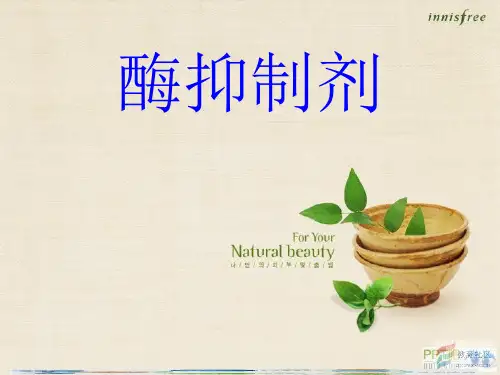 酶抑制剂